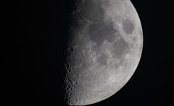 Mond-100pro_SA98178.jpg