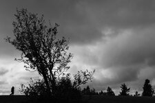 X-E3 2019.10.11 b.jpg