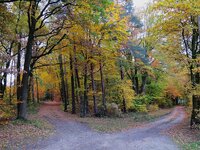 Herbstspaziergang a 2018.jpg