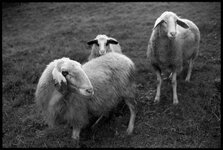 small_Buidln 2019 00413_V2.jpg small_Buidln 2019 00413_V2.jpg