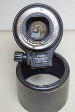 Canon180mmMacro_0004.jpg