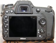 Z19_0337.jpg