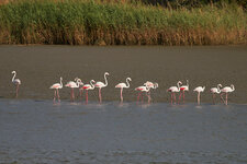 85 IMG_2530.jpg