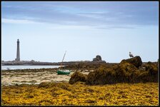 DSC_6053.jpg