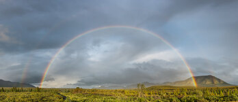 160808_490_Alaska-Denali-SavageCamp-Pano_forum.jpg