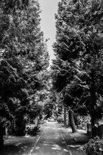 IMG_2408.jpg