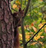 PB050026-02-denoise-small.jpg