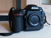 Nikon_D500_Bild3.jpg