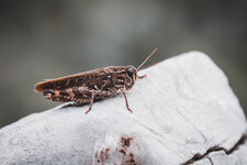 20190919-DSC_4131.jpg