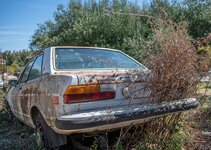 20191005-KST_7039.jpg