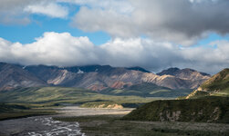 160808_549_Alaska-Denali-Park-Tour_forum.jpg