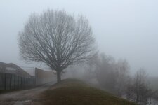 Nebel 02.jpg