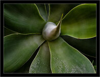 DSCN1063.jpg