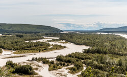 160811_996_Alaska-DeltaRiver_forum.jpg