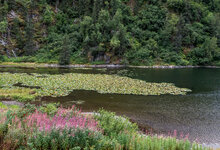 160816_1633_Alaska-Seward_forum.jpg