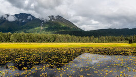 160816_1643_Alaska-Seward_forum.jpg