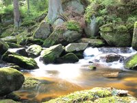 hoelltalfall.jpg