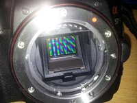 20130822_102421a.jpg