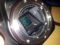 20130822_102431a.jpg
