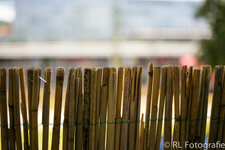 20130805-IMG_2588.jpg