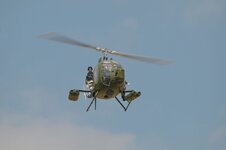 DSC_8068.JPG