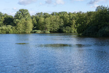 IMG_0091-Bearbeitet.jpg