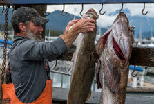 160816_1690_Alaska-Seward_forum.jpg