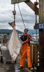 160816_1694_Alaska-Seward_forum.jpg