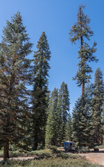 1809212403_USA-West-SequoiaNatPark_forum.jpg