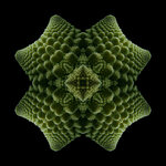 mandala-fraktalgemüse1.jpg