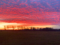 Abend im Spreewald.jpg