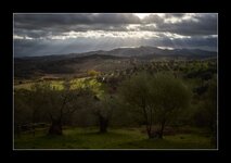 _DSC7185-1-1.jpg