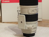 Canon70-200-Stativring.JPG