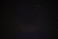 IMG_2172.jpg