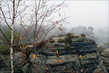 nebel_2019_05.jpg