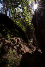 2019-06-09 10-59-40 Wanderung Pohlshörner und Thorwalder Wände.jpg