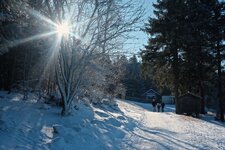 DSCF4593.jpg