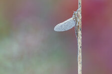 20191006-IMG_3193-b.jpg