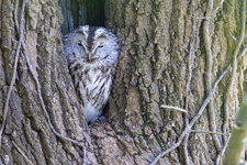 20200315_162827_nature_22.jpg