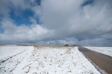 DSCF7773.jpg