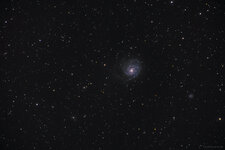 m101-1_6-neu-Bearbeitet.jpg