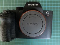 IMG_3338.jpeg