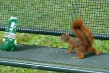 comp_DSC_8461.jpg