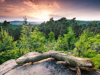 Taubenkopf-10-2.jpg