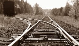 DSC_2533_sepia1.jpg