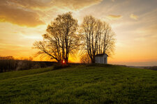 Abends am Dachsberg.jpg