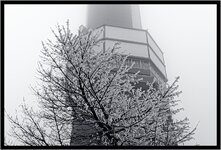 Feldberg_DSC02170_DxO_jiw.jpg