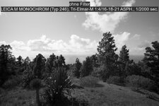 L1001914.jpg
