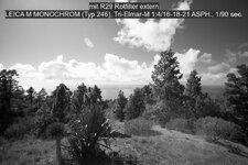L1001915.jpg