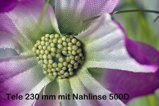 verklDSCF1102 230mm mit NH.jpg